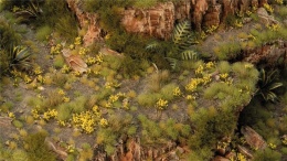 Dandelion Tiny Flowers Tufts
