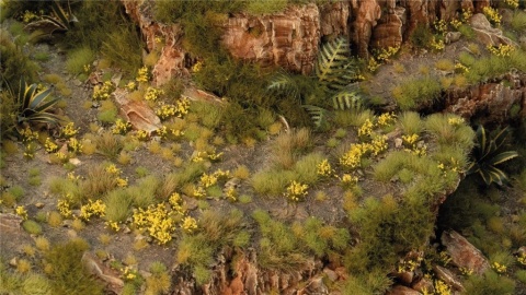 Dandelion Tiny Flowers Tufts