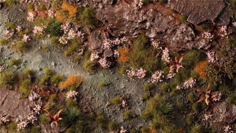 Pink Orchid Tiny Flowers Tufts