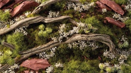 White Rose Flowers Tufts