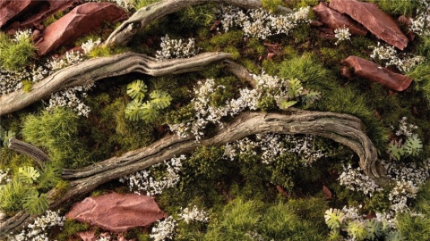 White Rose Flowers Tufts