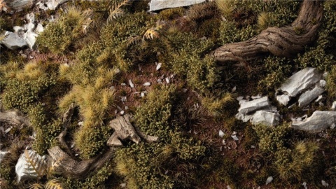 Dark Green Shrubs Tufts