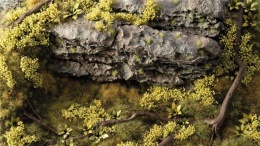 Light Green Shrubs Tufts