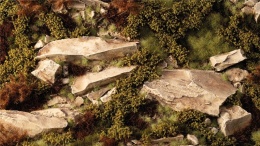 Dry Green Shrubs Tufts