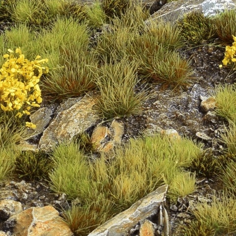 Set - Highland Tuft (Wild) Tufts