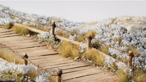 Light Blue Lilac Flowers Tufts