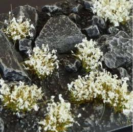 Tufts White Flowers