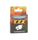 WARHAMMER 40000: SALAMANDERS DICE