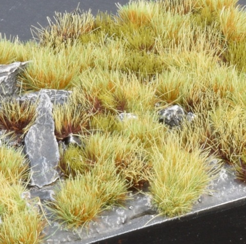 Set - Marshland (Wild)