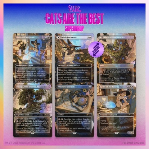 MTG - Secret Lair Witch’s Familiar Foil Edition