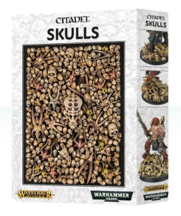 CITADEL SKULLS